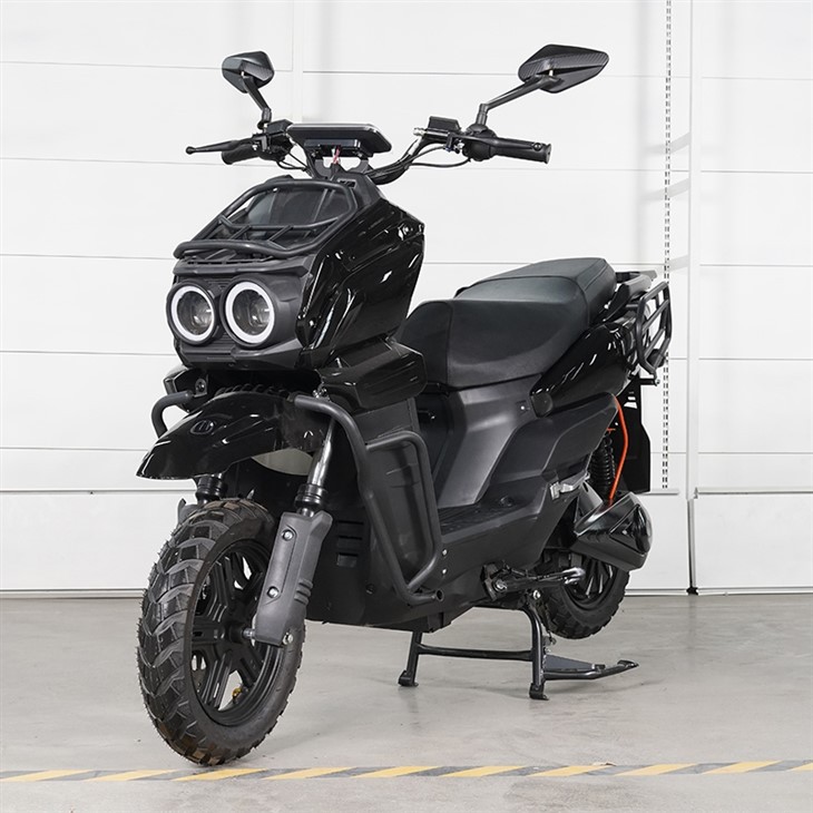 E Bike Motorcycle for Adult1