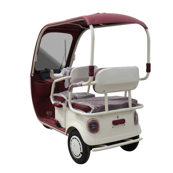 2026 China Electric Tricycle With Roof suppliers