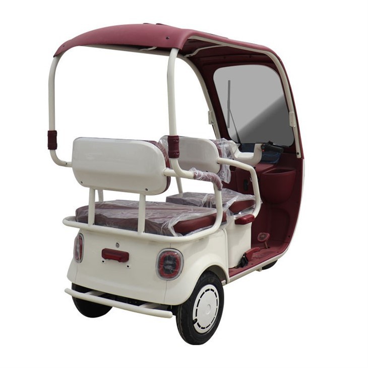 2026 China Electric Tricycle With Roof factory