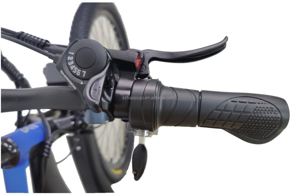 E Bikes For Adults Electric Mountain Bike high quality