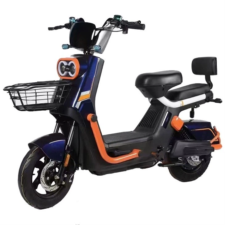 Li-ion Electric Bike Part Electric E-bike Battery best