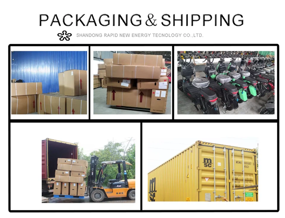 1723185718297 1723185718297