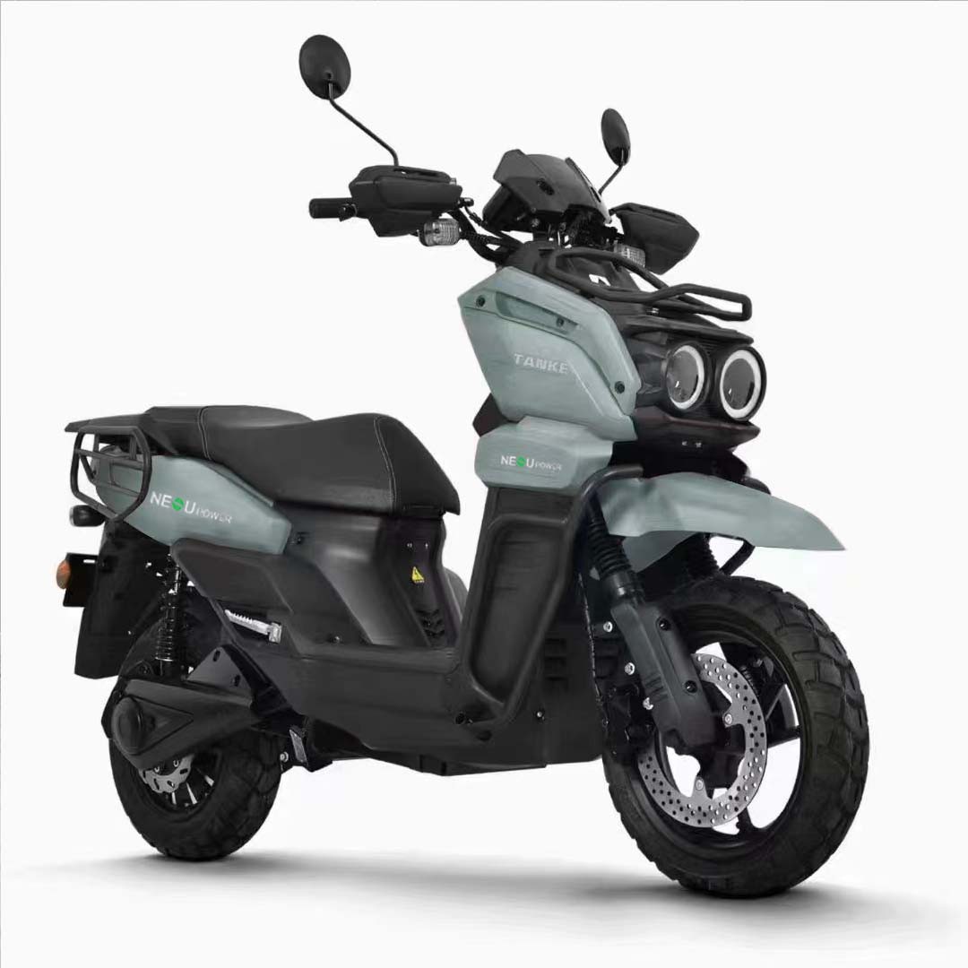 E Bike Motorcycle for Adult04