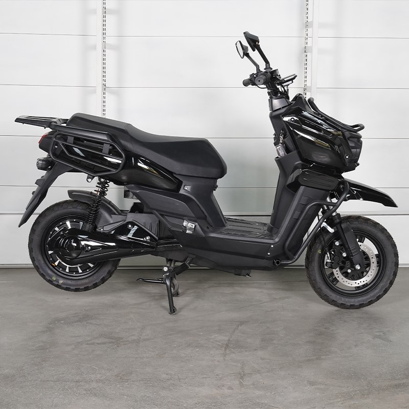E Bike Motorcycle for Adult01
