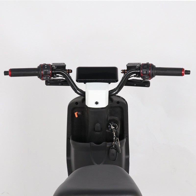 scooter motorcycle for adults02