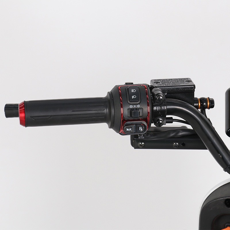 scooter motorcycle for adults01
