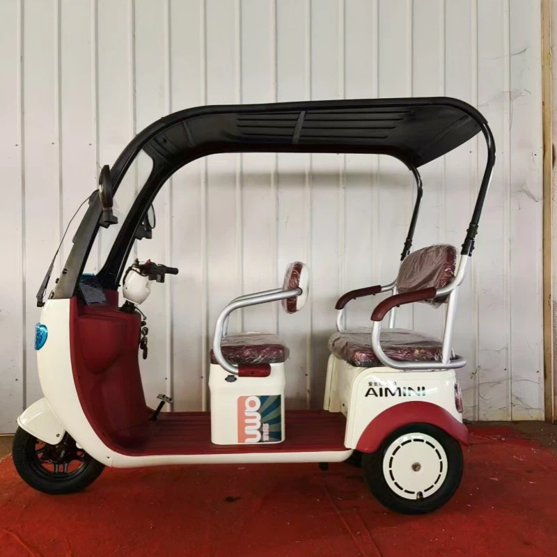 electric tricycle14