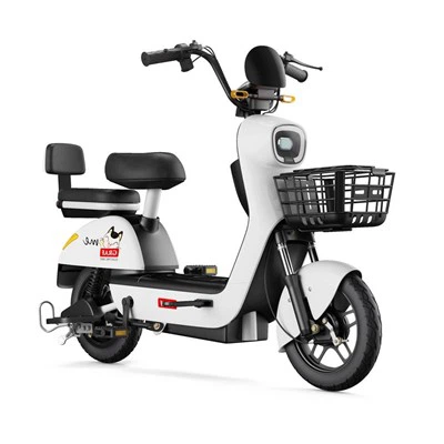 2 Wheel Electric Bicycle For Adults