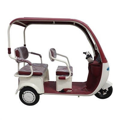 2026 China Electric Tricycle With Roof