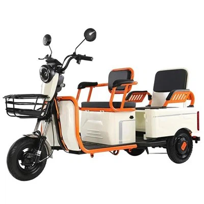 2026 Tricycle Electric 800w