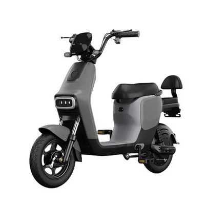 500W Motor Electric Bicycle