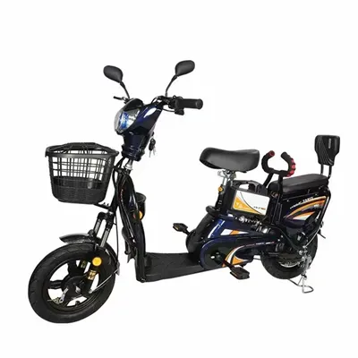 Electric Bike Conversion Kit With Battery 2000w
