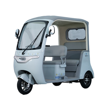 Casual Electric tricycle TU Closed Body