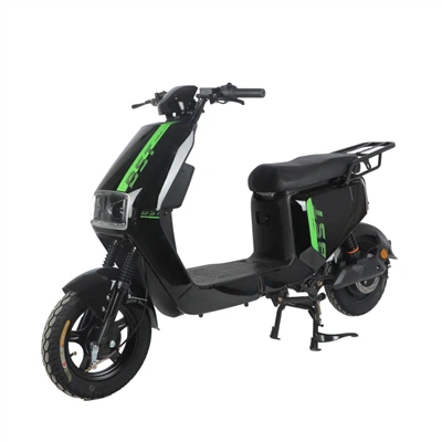 Adults Electric Motorcycle
