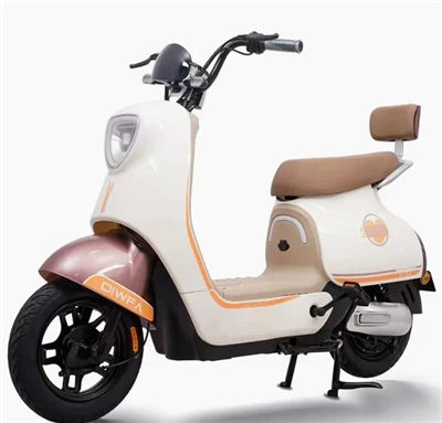 Electric Bike With Acceleration