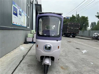 Electric Tricycle Double Seat