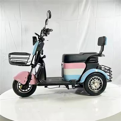 Electric Tricycle Three Wheel Adult
