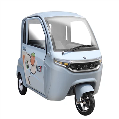 Electric Tricycles Three Wheel Adult 1000 Watt