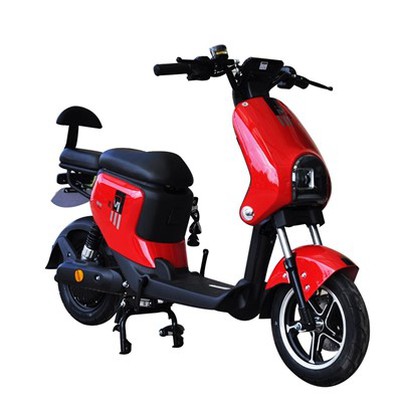 Foldable Electric Bike