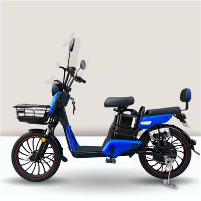 Affordable Electric City Bike For Two | Modern And Stylish E-Bike For Comfortable Urban Commuting